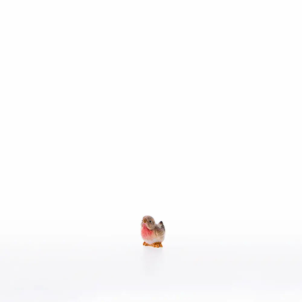 Uccellino