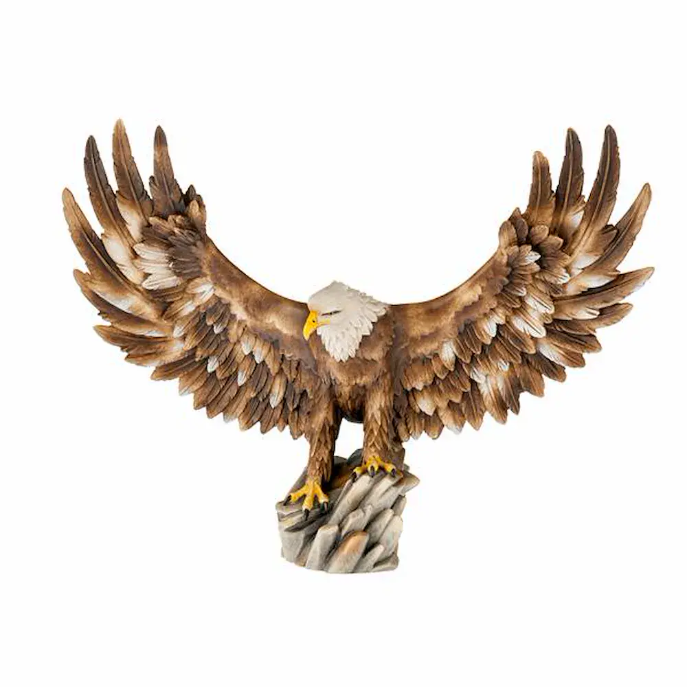 Aquila testa bianca ali aperte