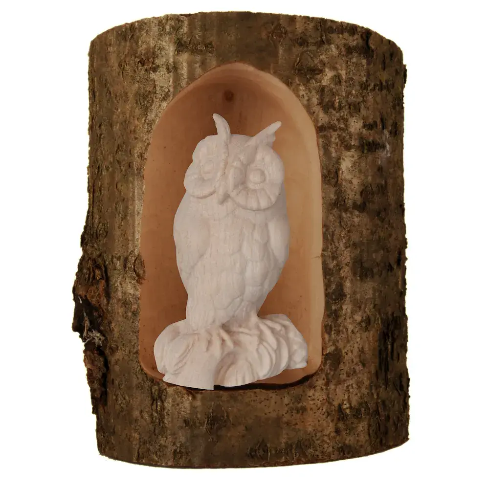 Gufo nella cavità dell'albero
