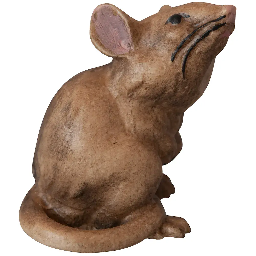 Topo seduto