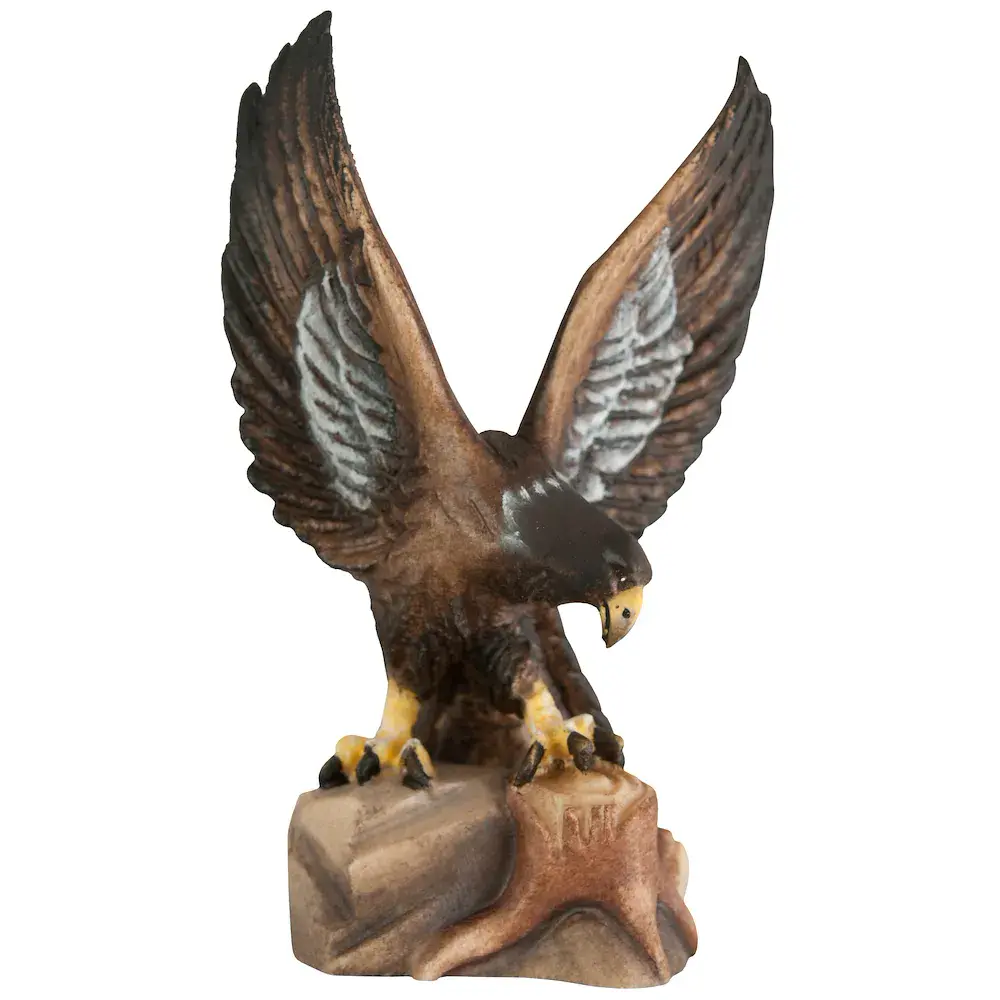 Aquila reale