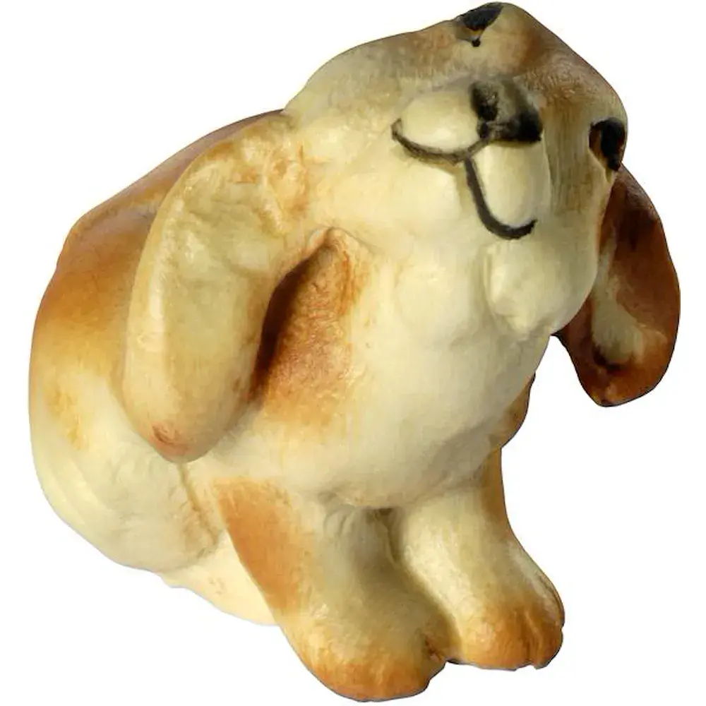 Conoglietto zampa alla guancia