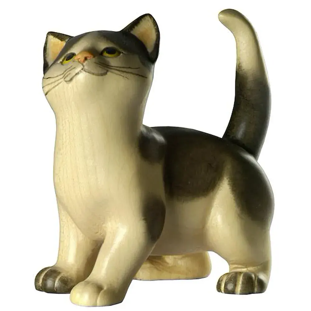 Gatto in piedi