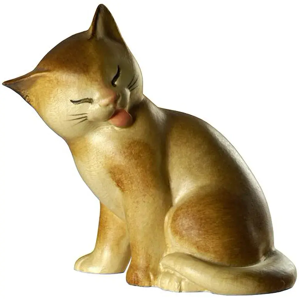 Gatto seduto