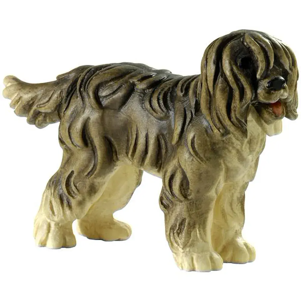 Cane pastore - Bobtail