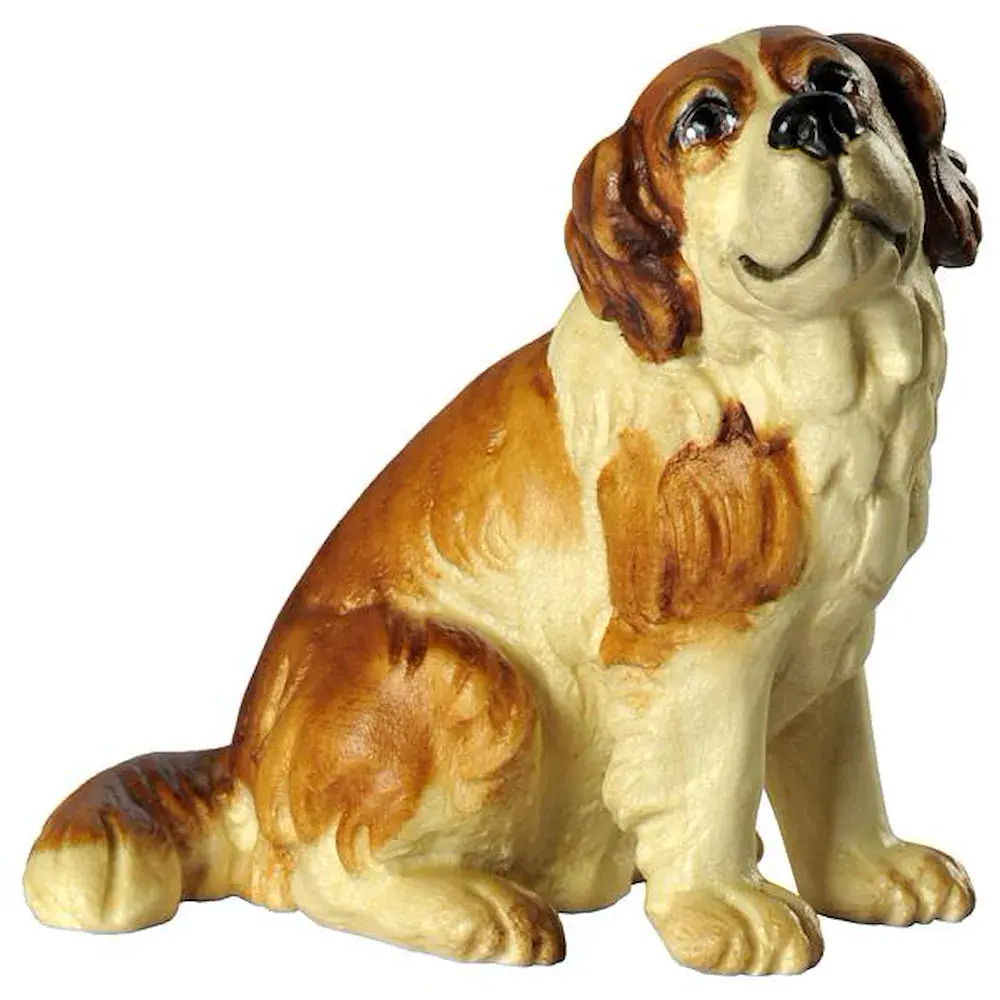 Cane di san Bernardo seduto