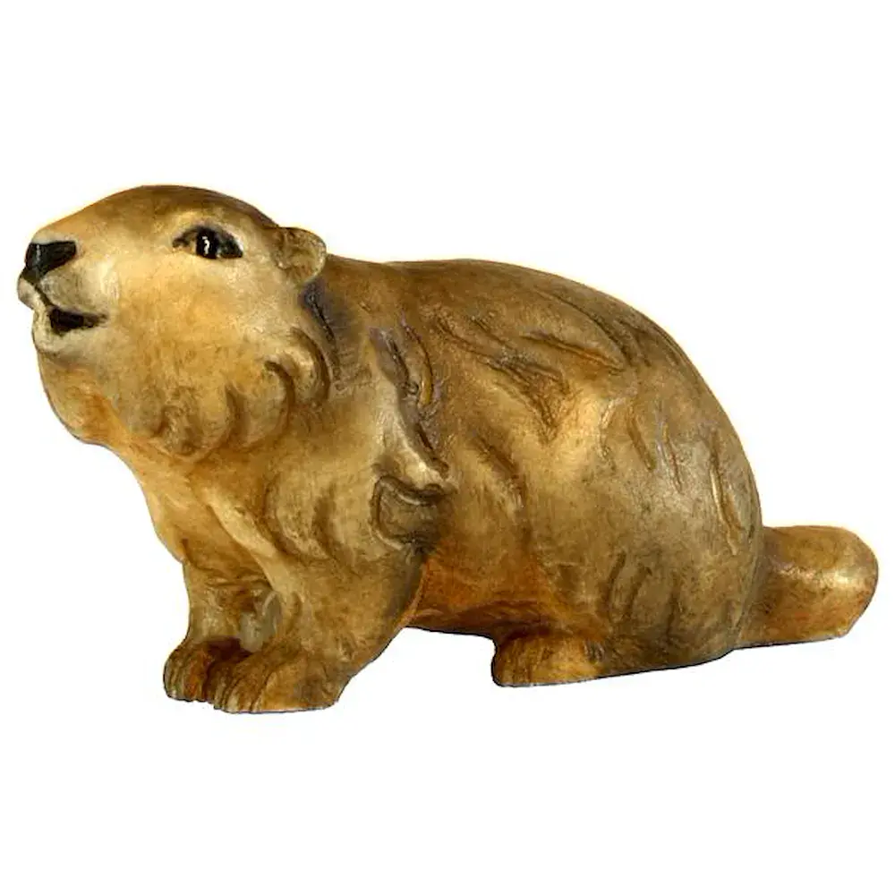 Marmotta sdraiata
