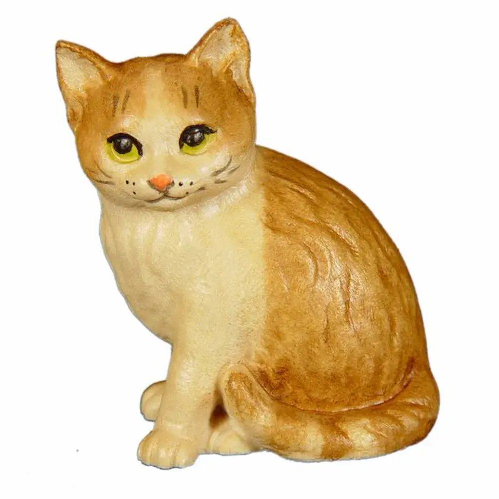 Kitten right
