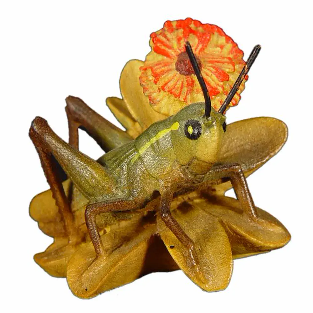 Grasshopper