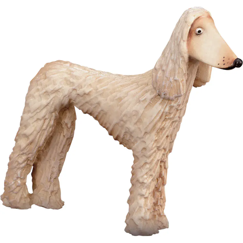 Afghan greyhound