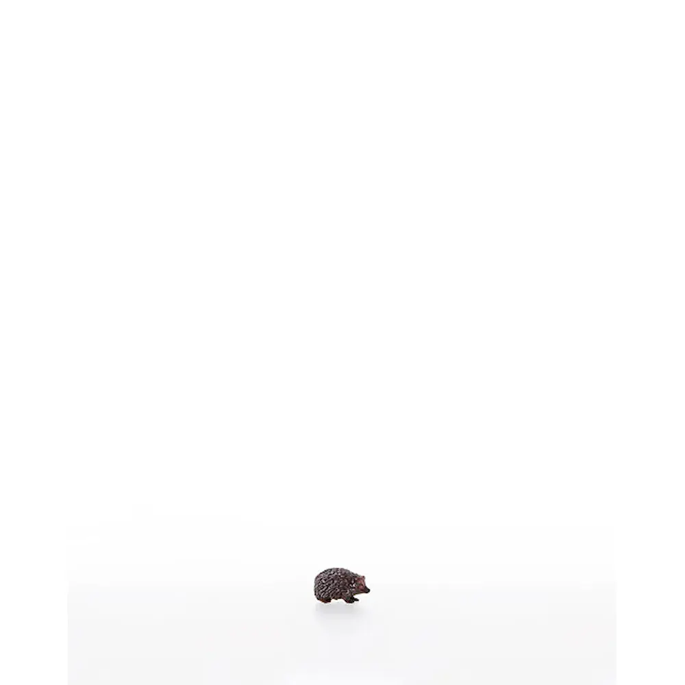 Hedgehog