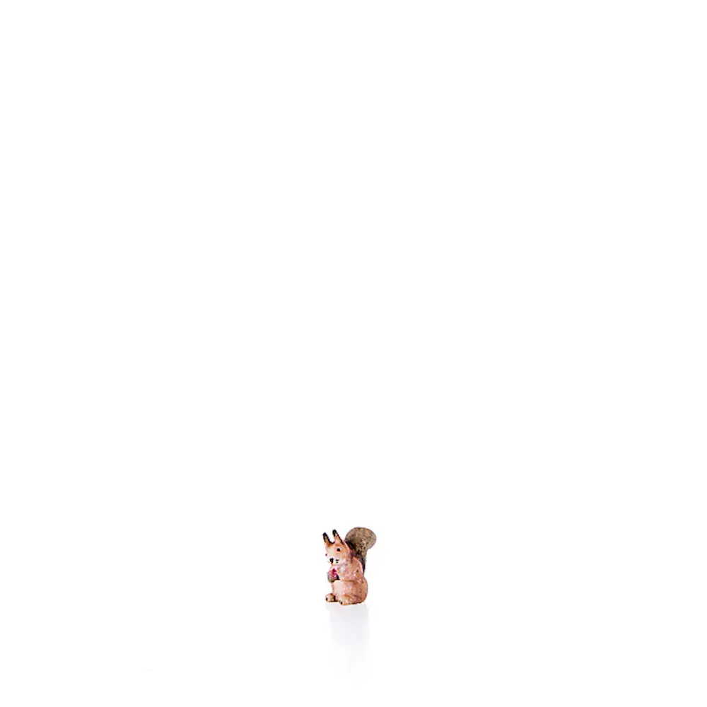 Squirrel
