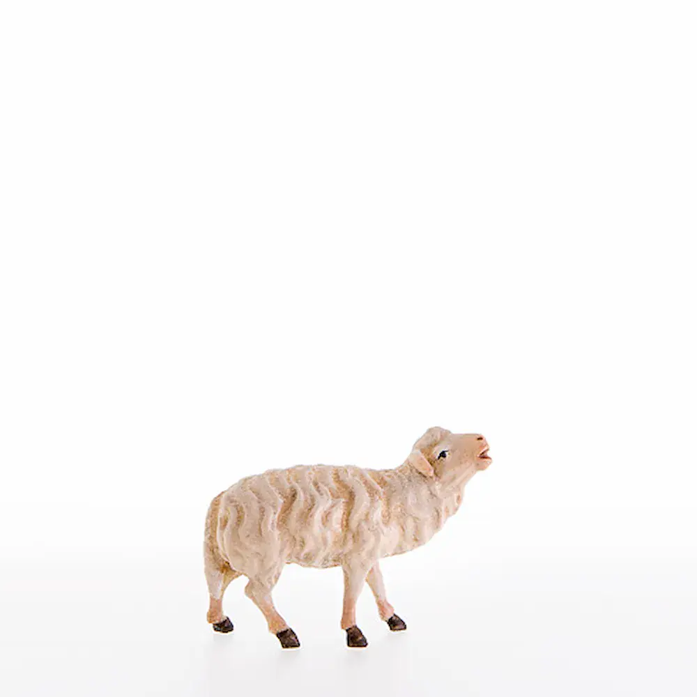 Sheep bleating