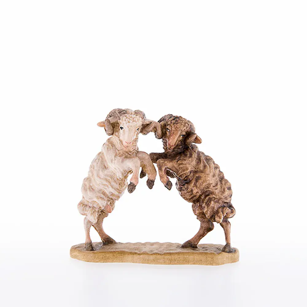Pair of rams fighting