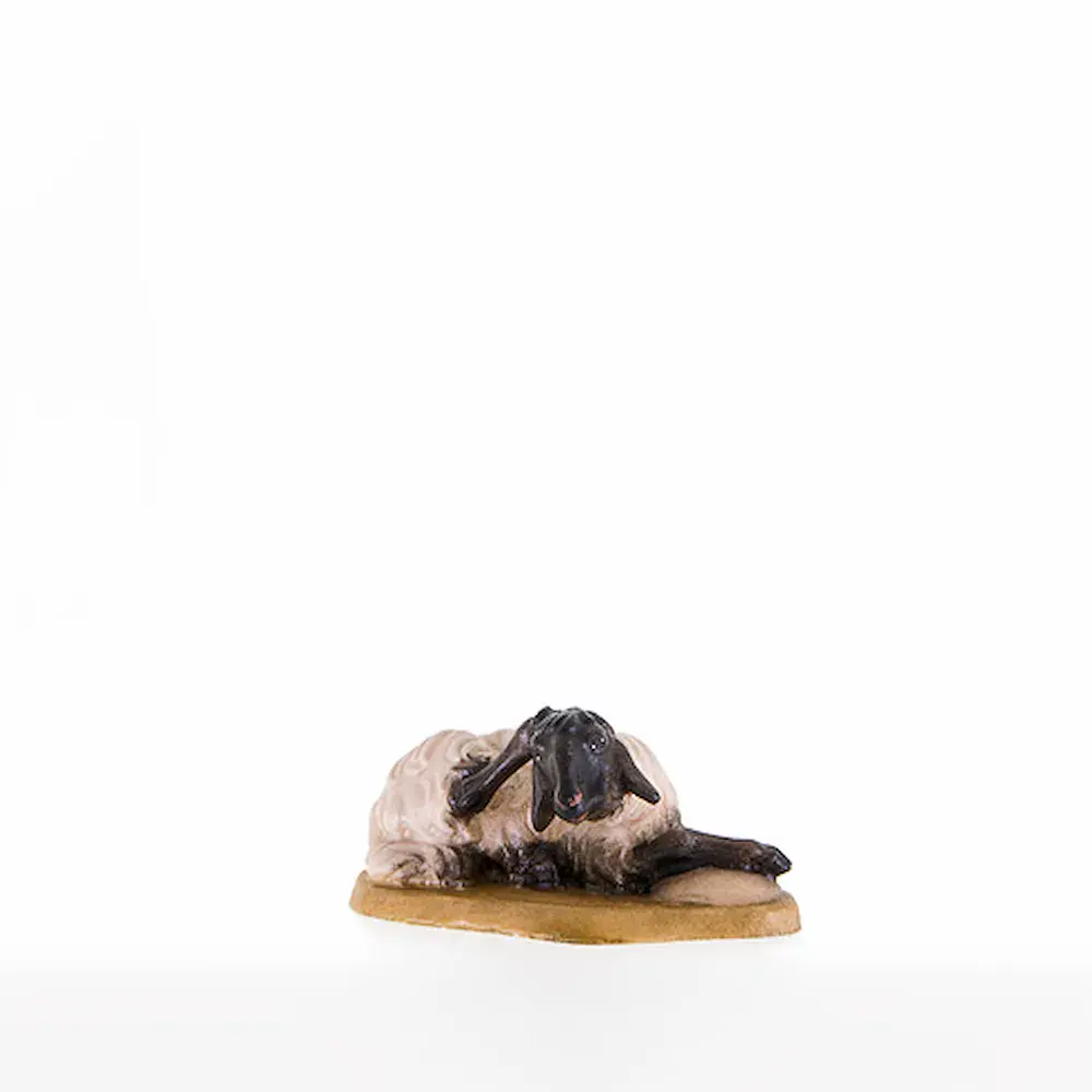 Sheep lying-down with black head