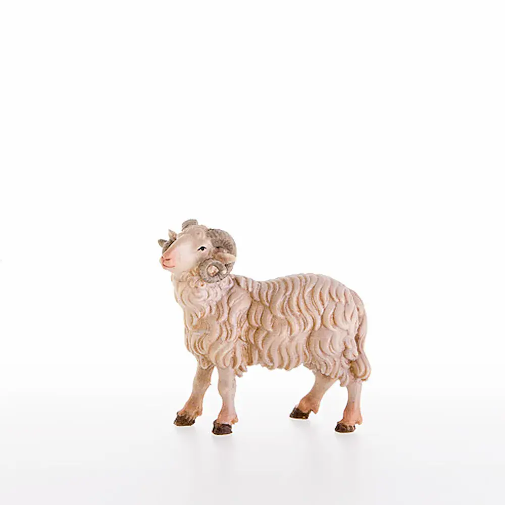 Ram