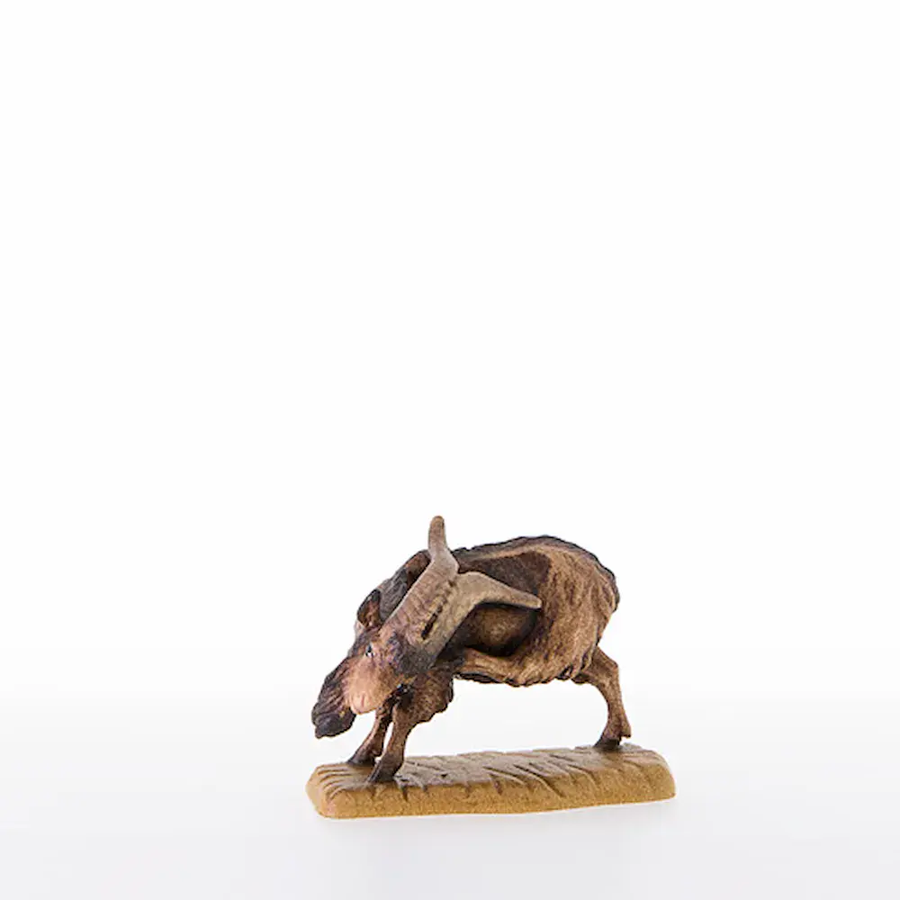 He-goat
