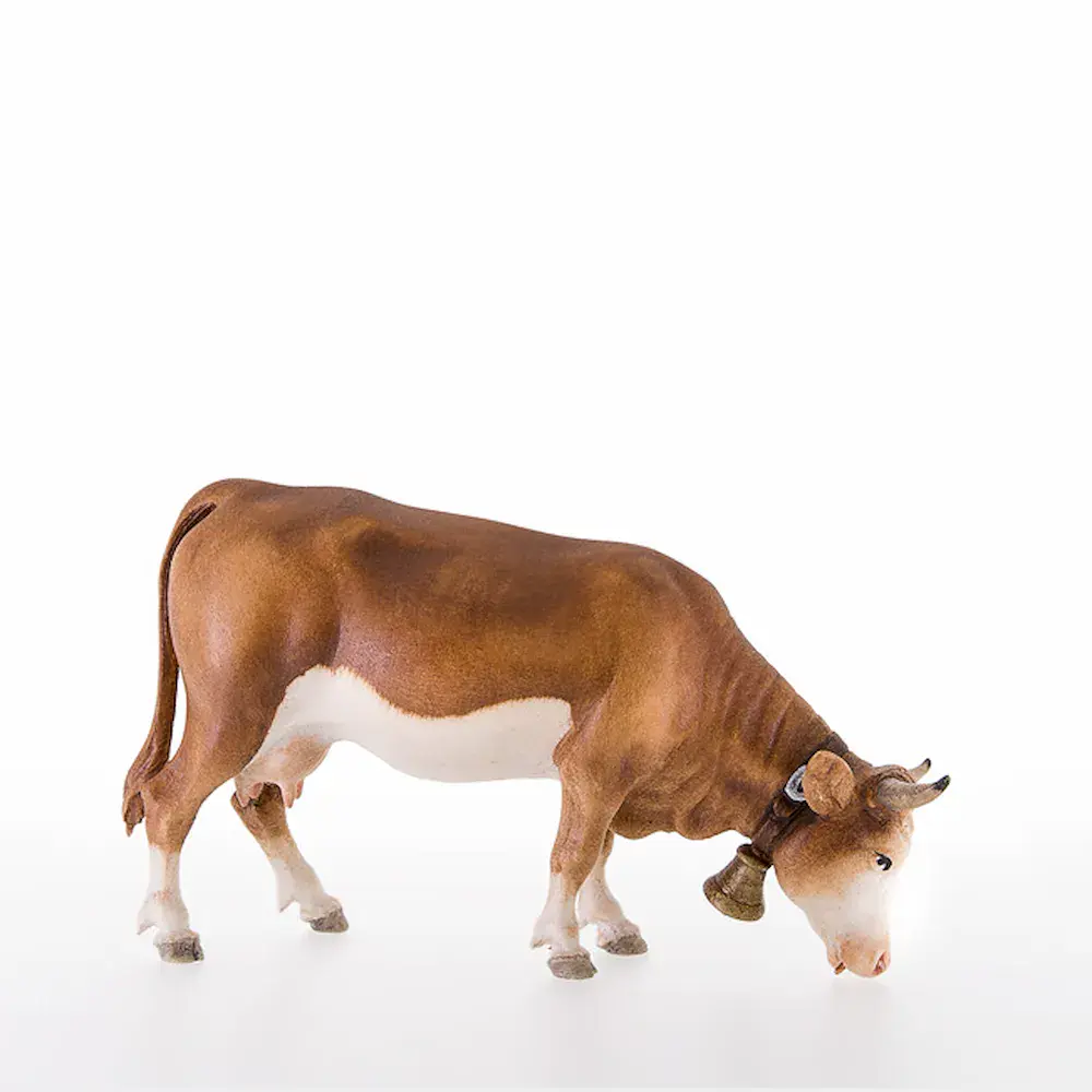 Grazing cow