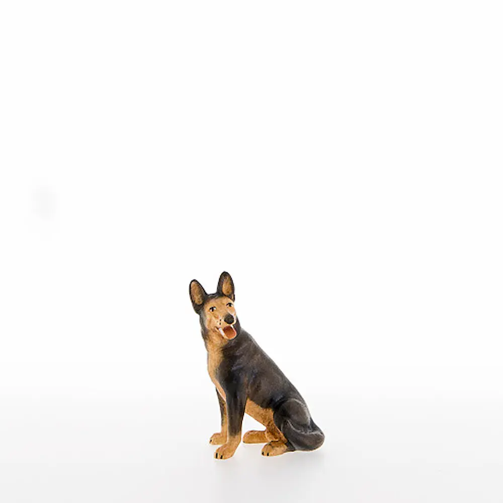 Shepherd dog sitting
