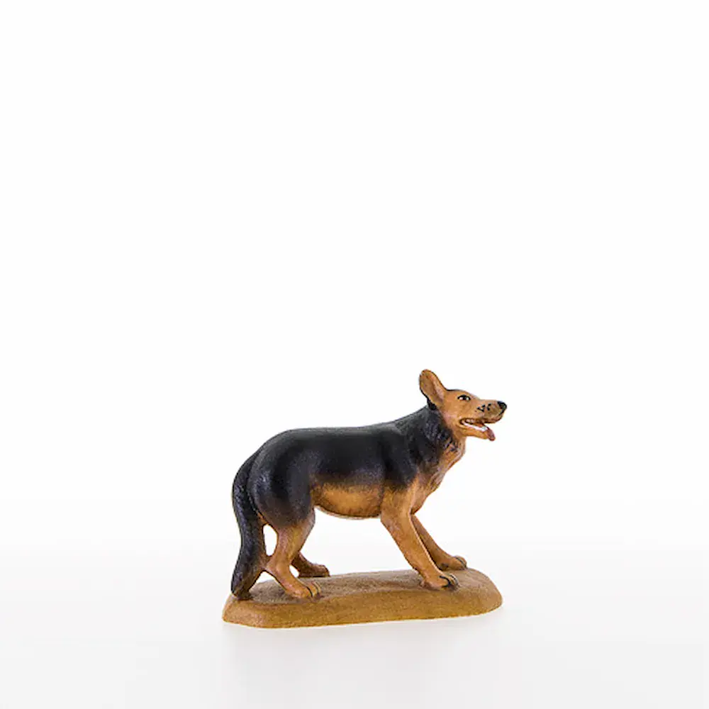 Shepherd dog