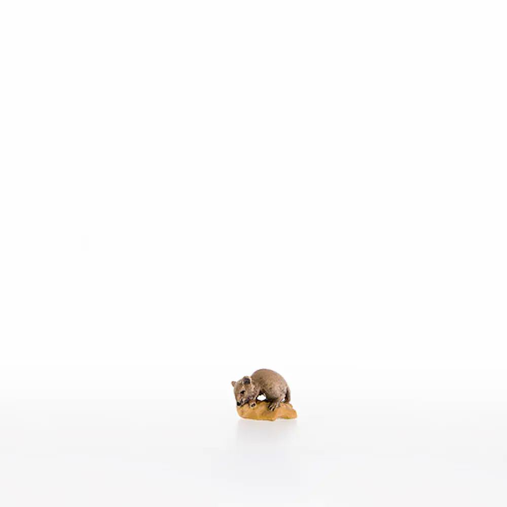 Mouse on the cheese