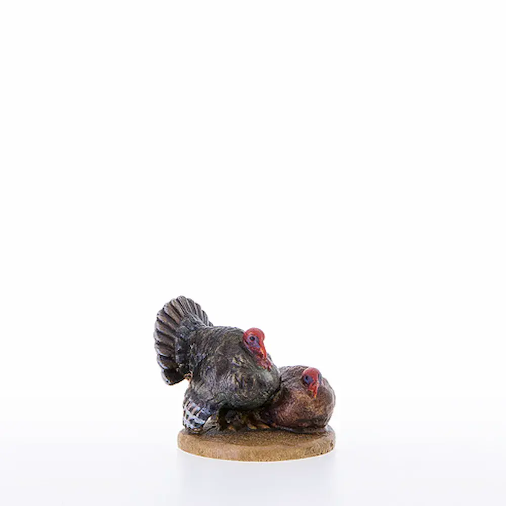 Group of turkeys