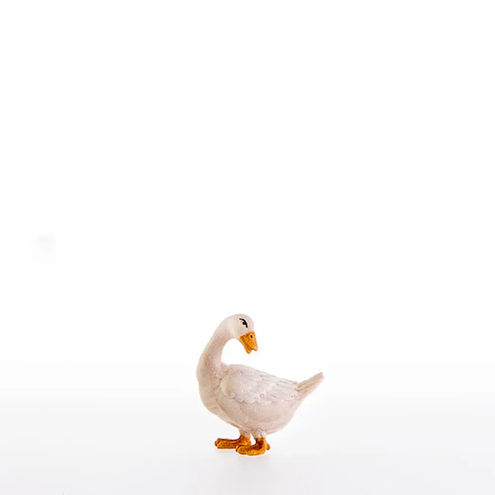 Goose looking back