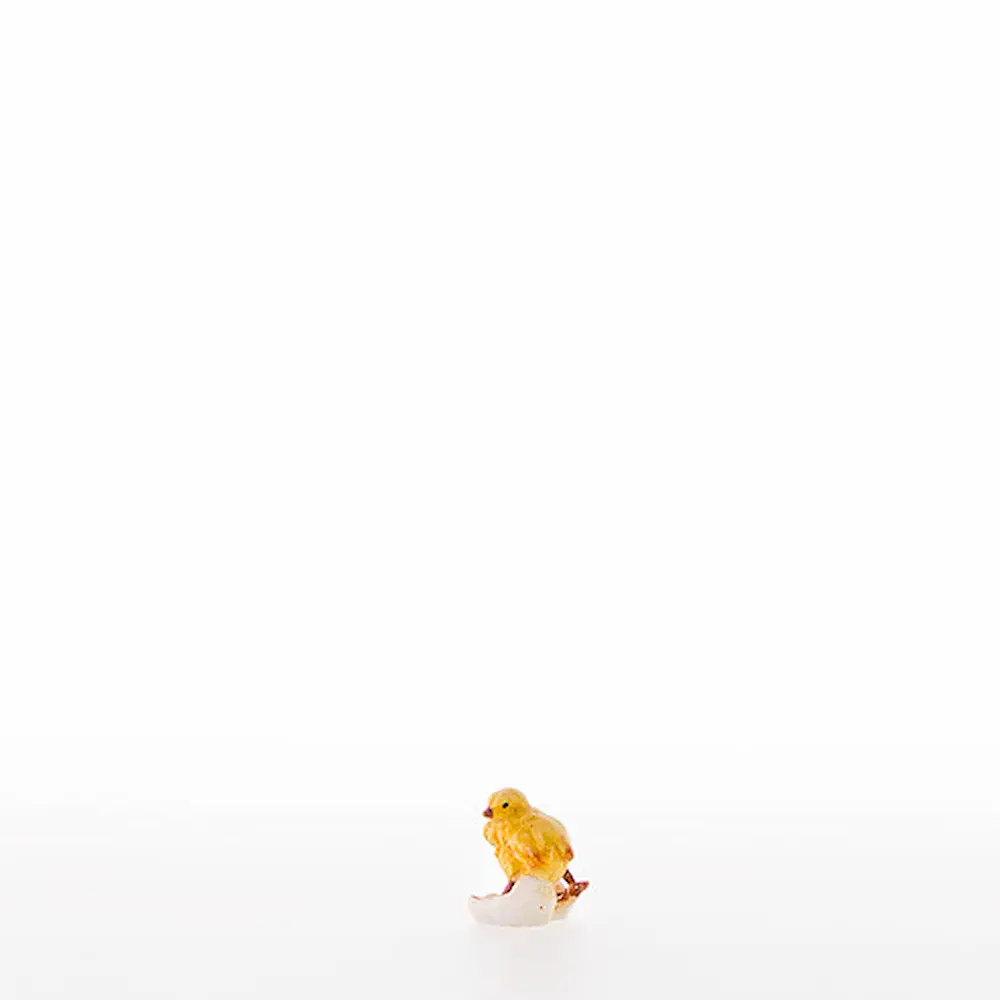 Chick in egg-shell