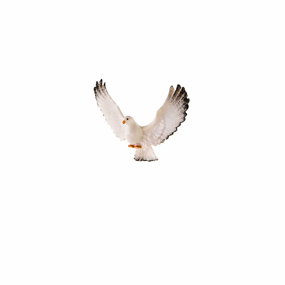 Dove