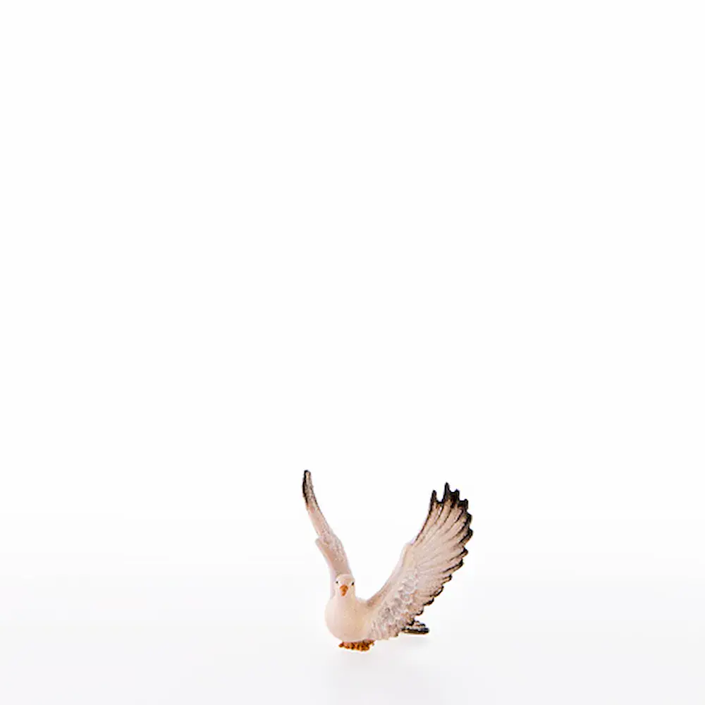 Dove with wings up
