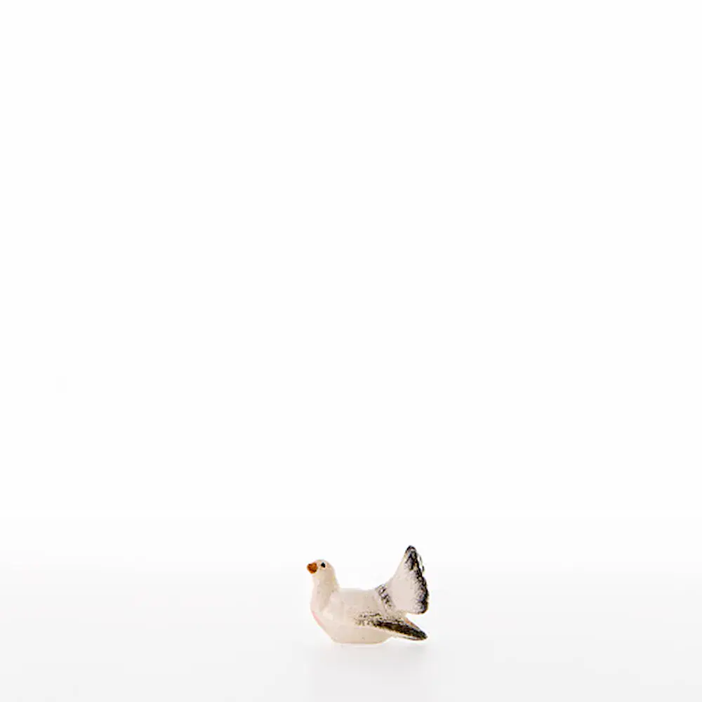Dove