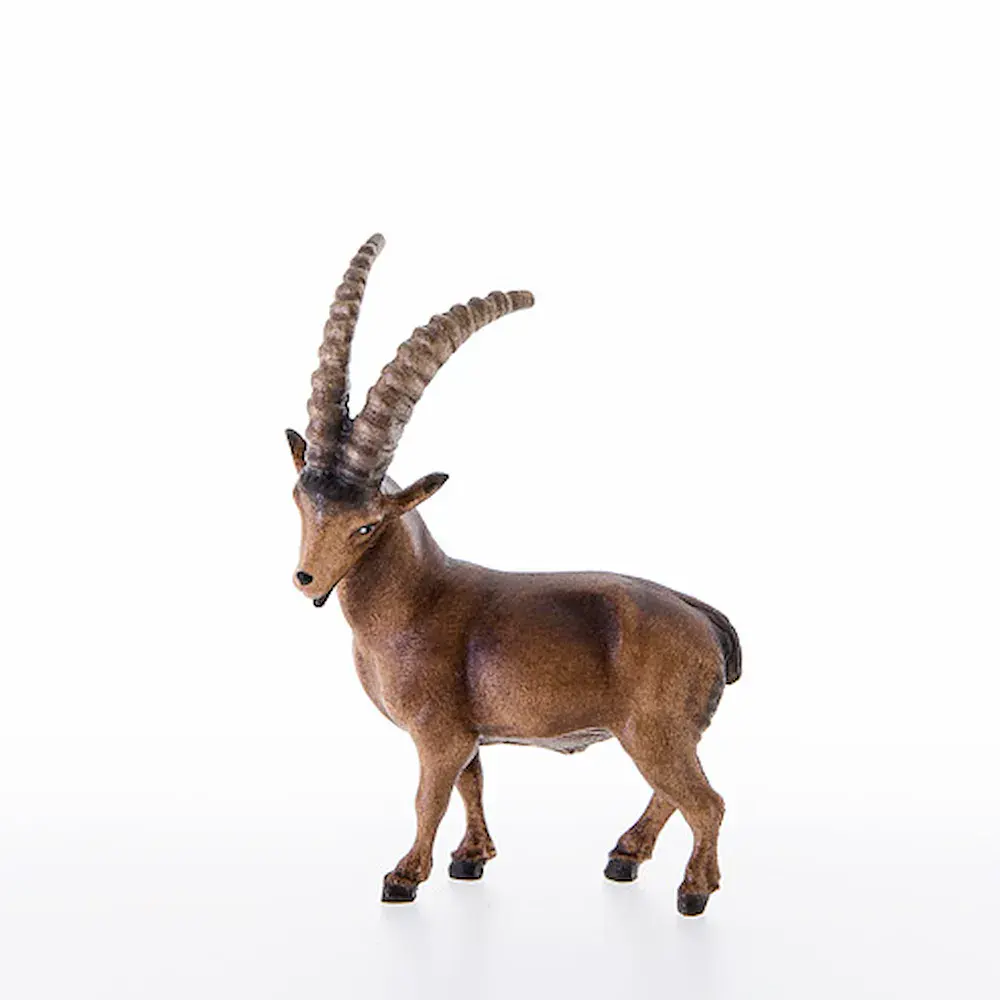 Ibex