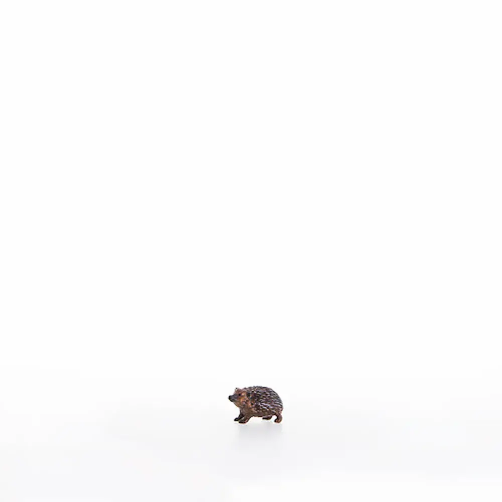 Hedgedhog