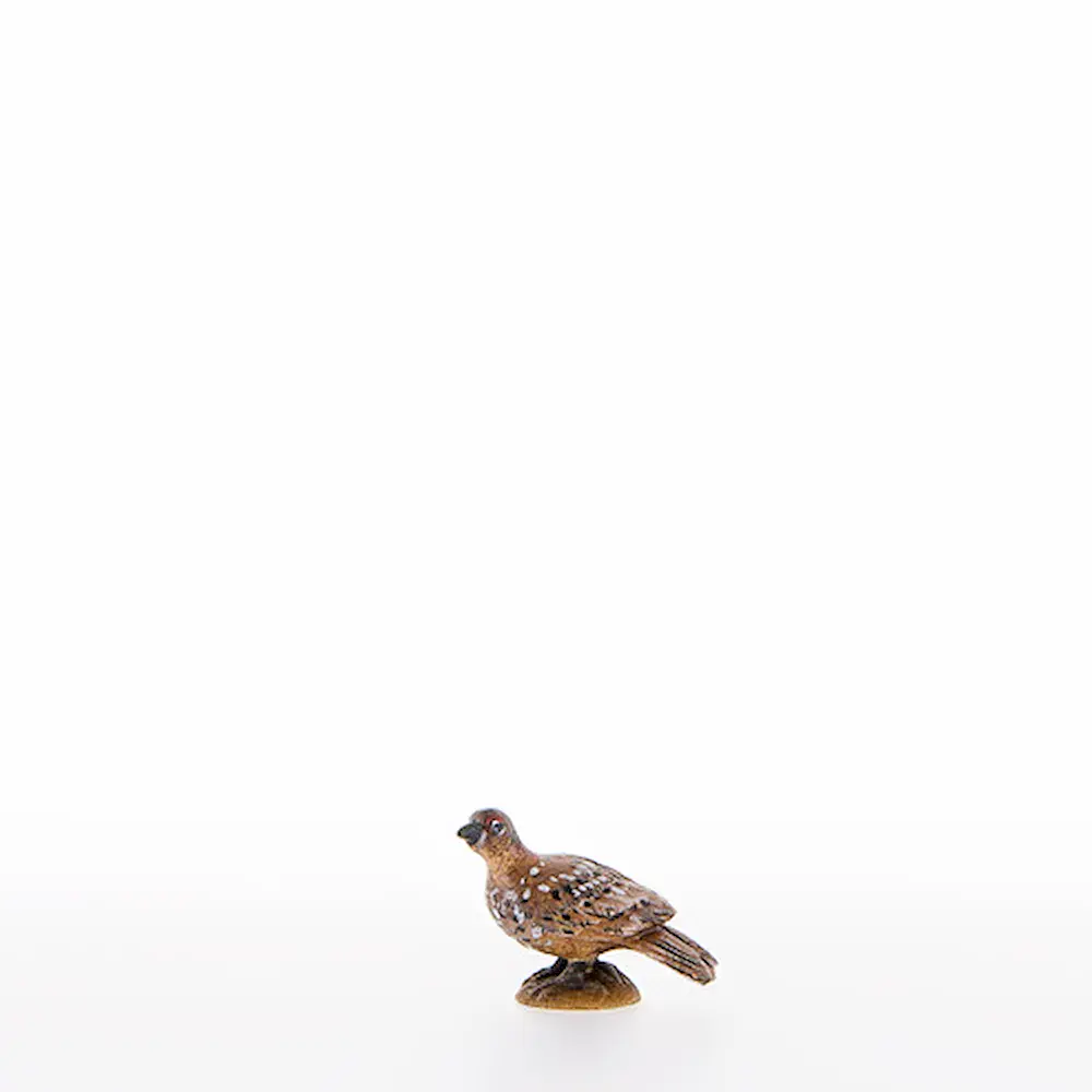 Female wood-grouse