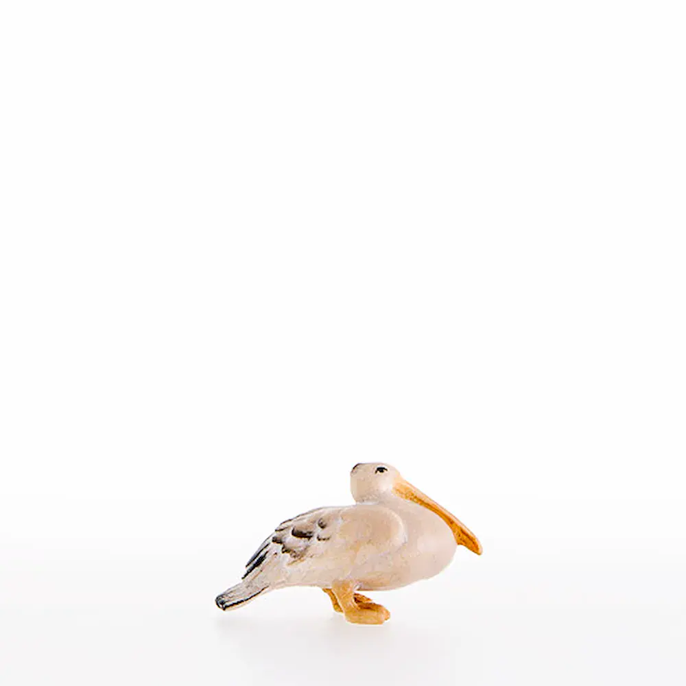 Pelican