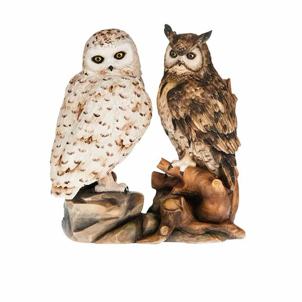 Owls group