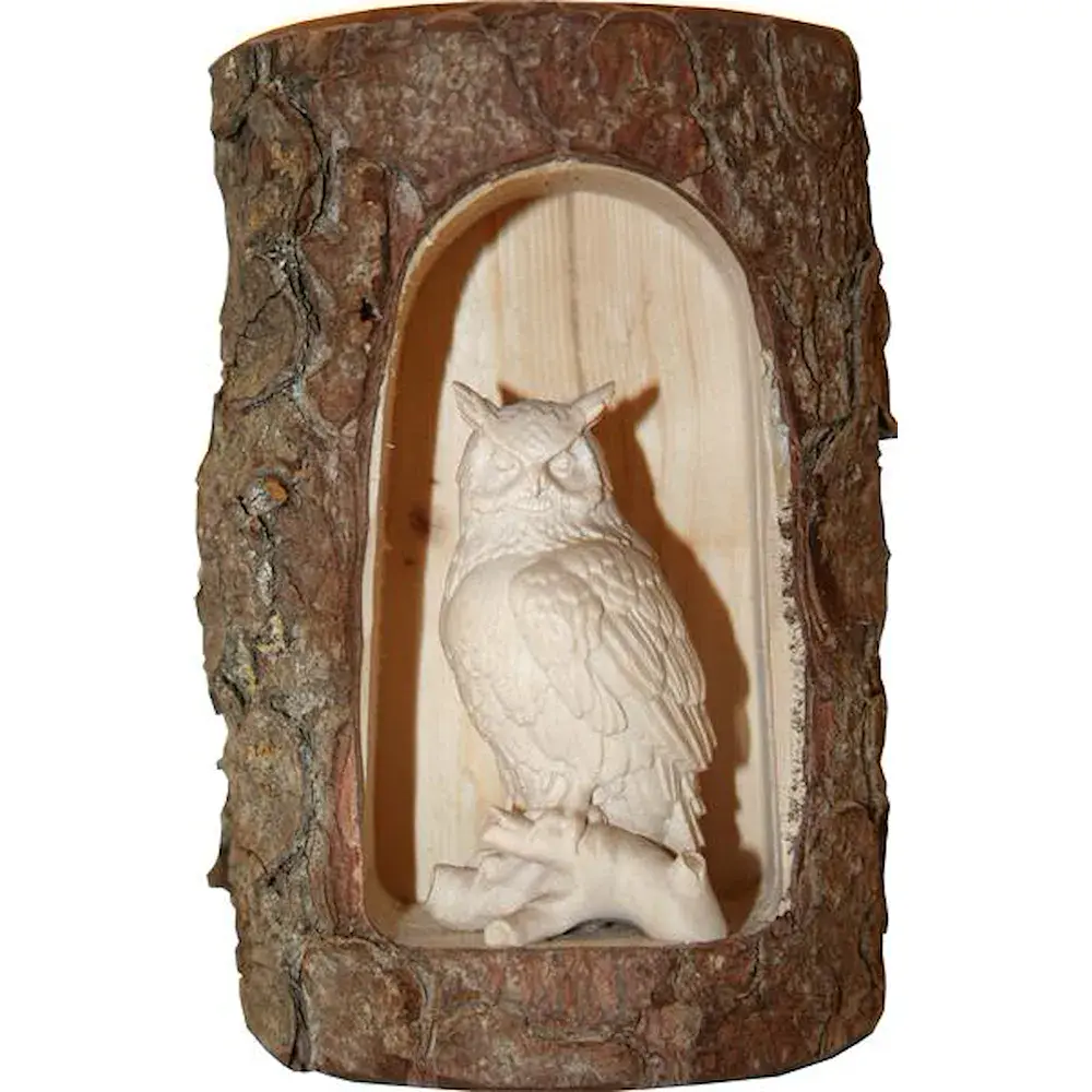 Owl on tree in cave