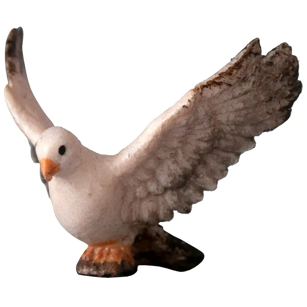 Pigeon flying