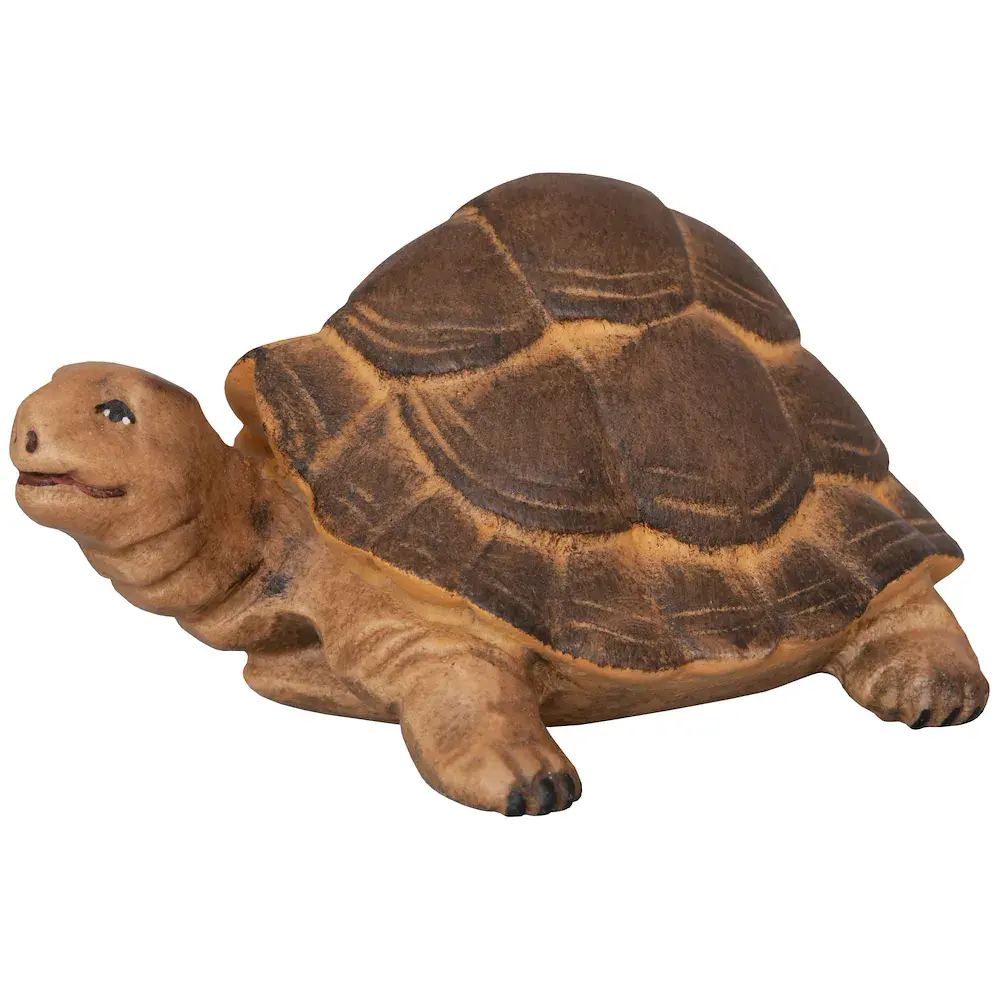 Giant Tortoise