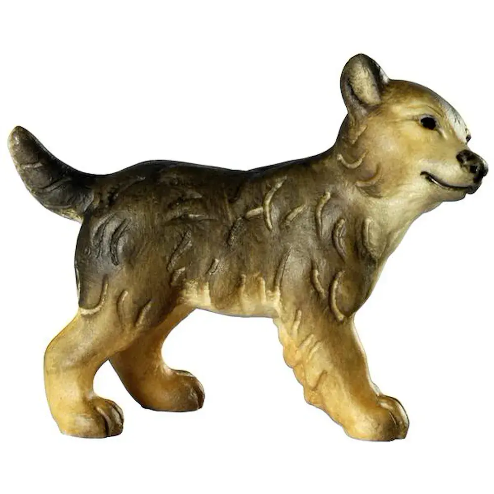 Wolf puppy - head right