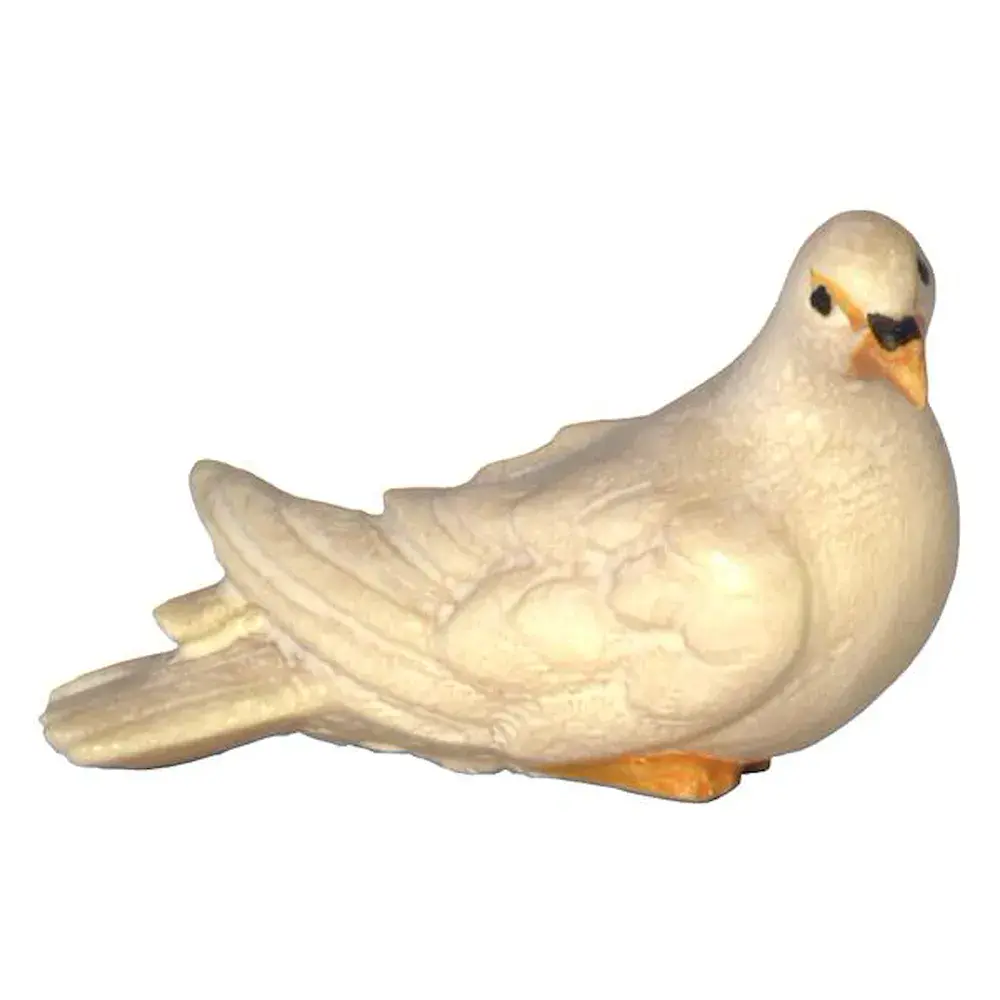 Pigeon - head down