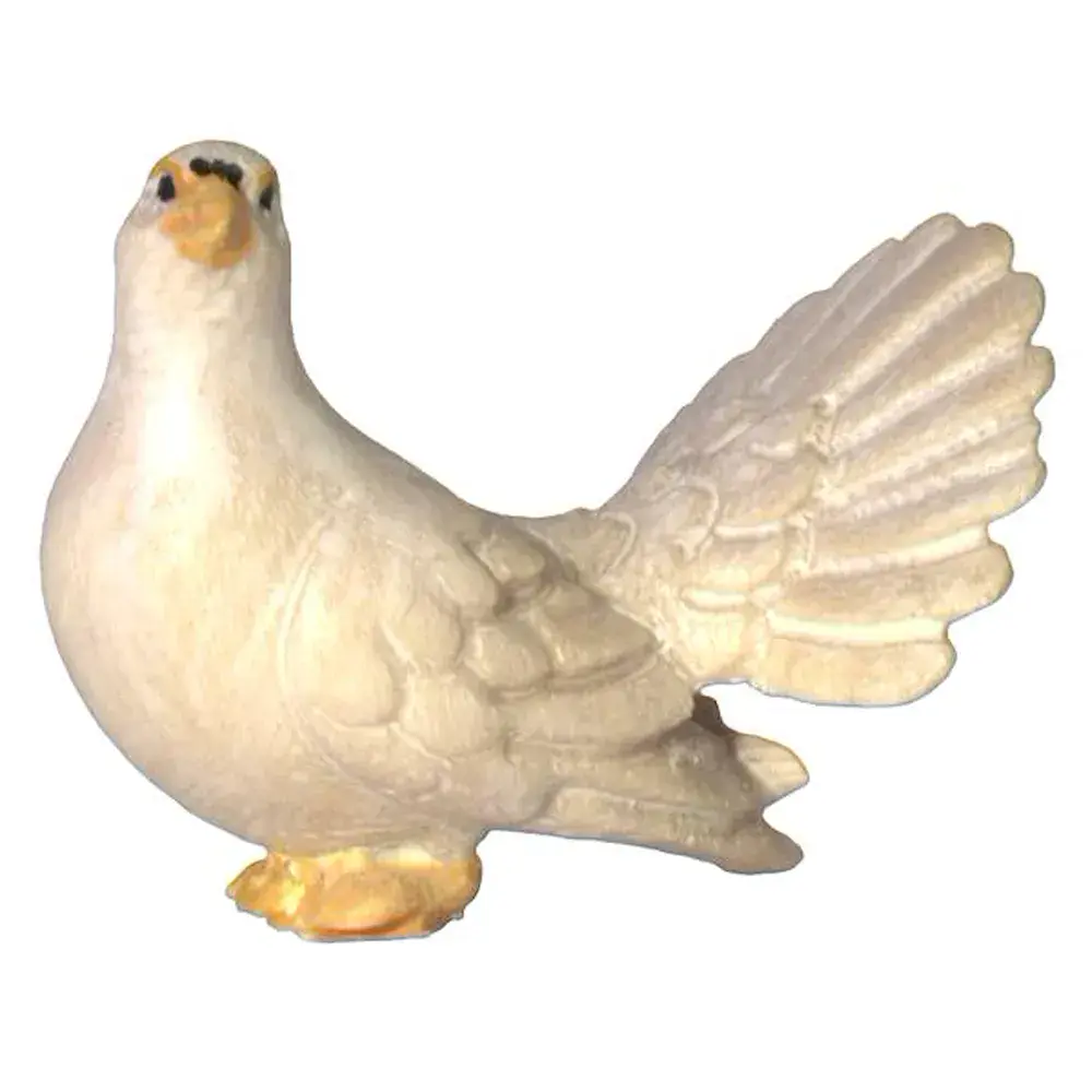 Pigeon - head up