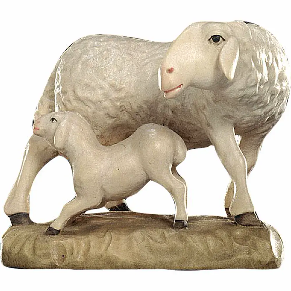 Sheep with lamb