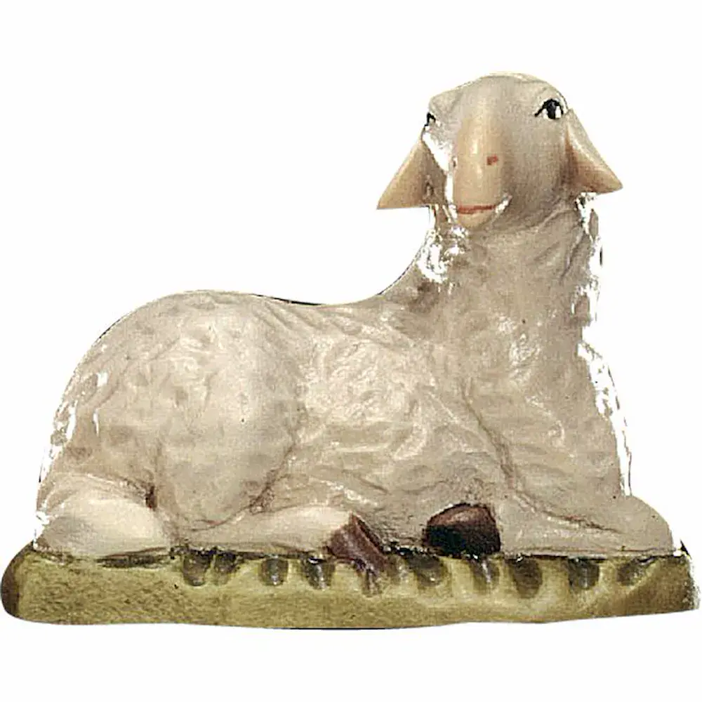 Lying sheep