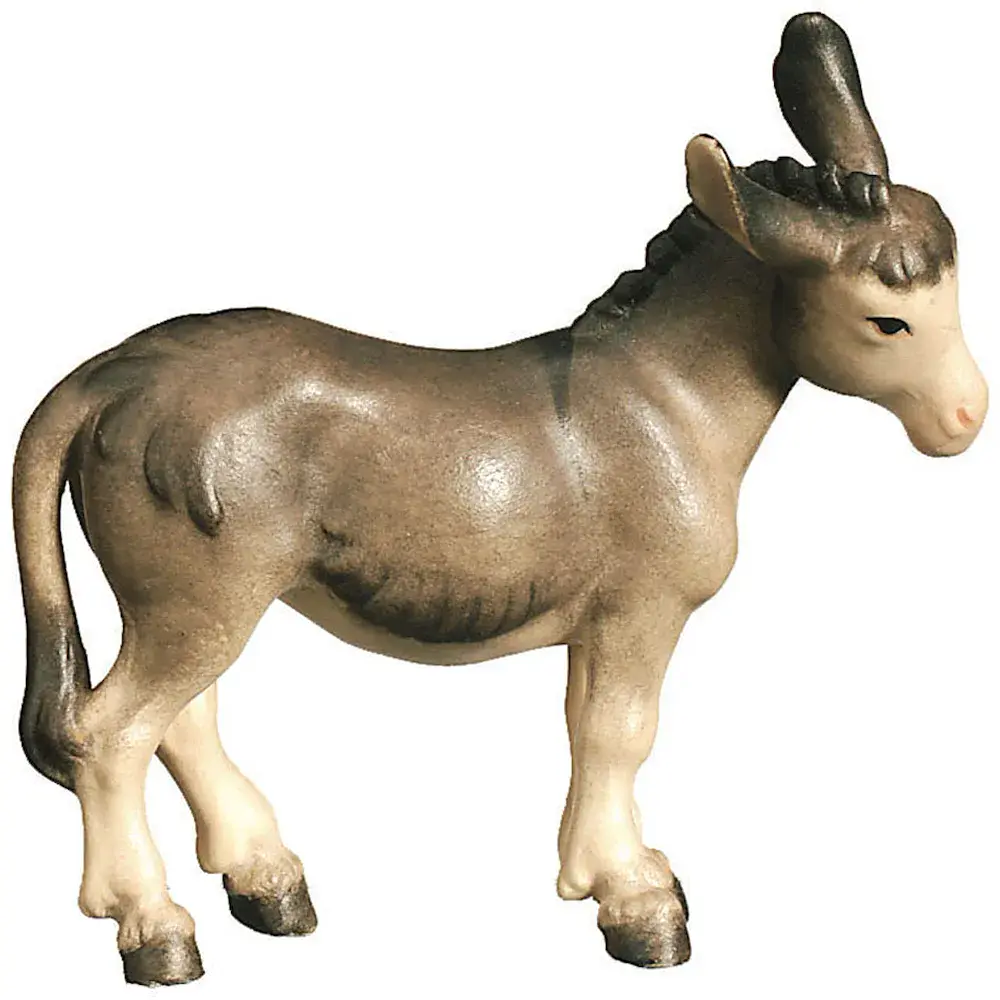 Donkey standing
