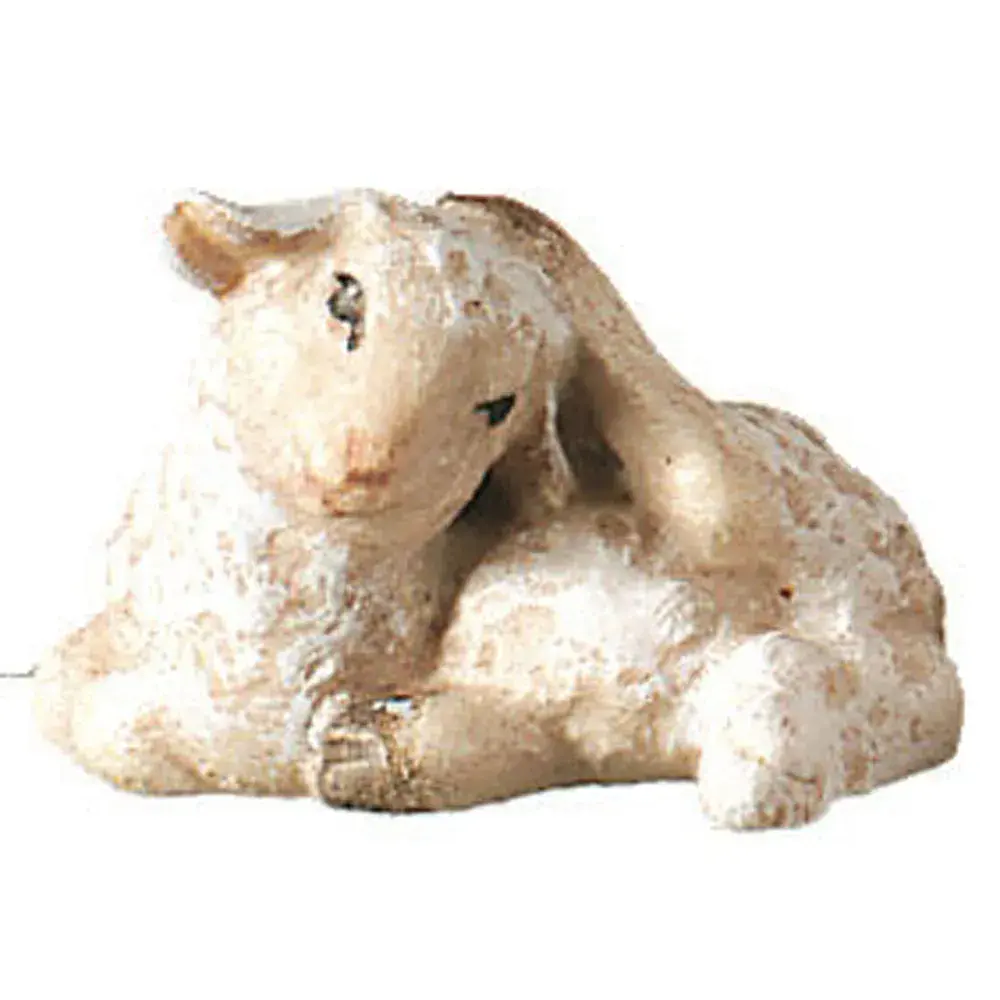 Lamb scratching itself