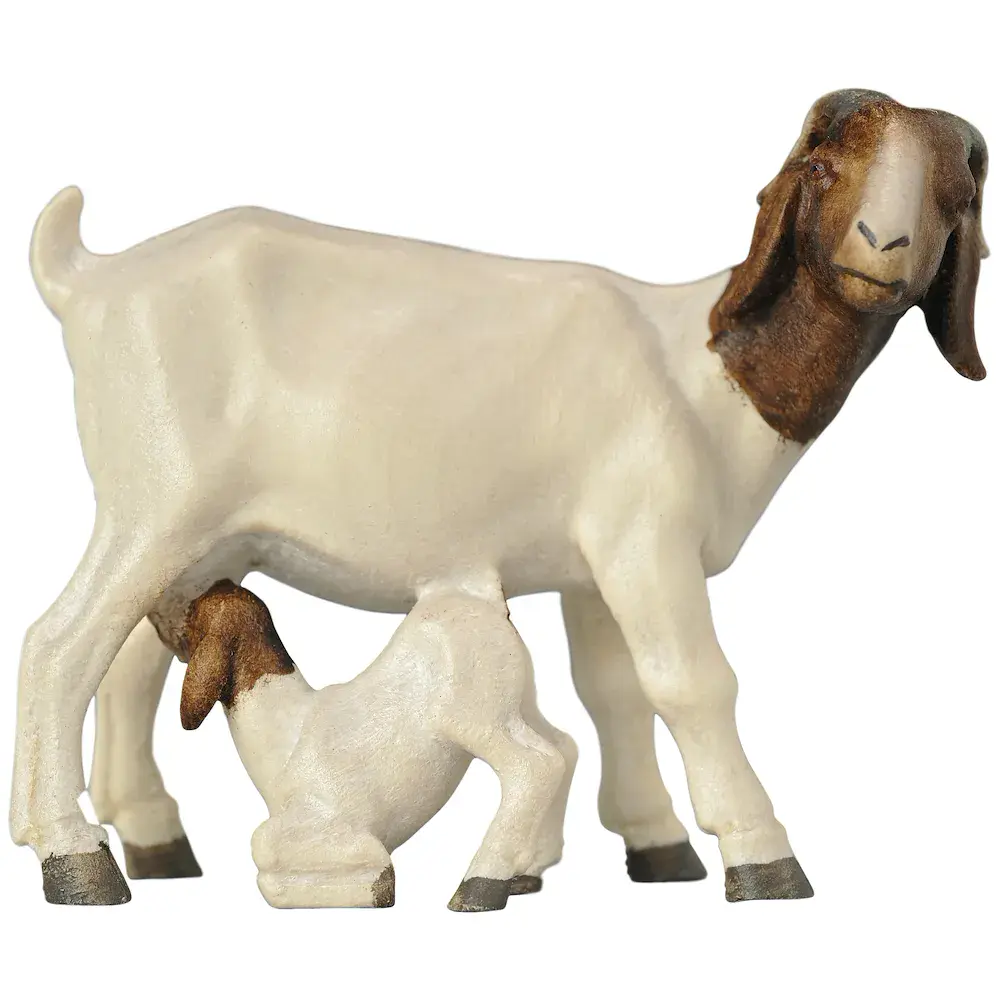 Boer goat with fawn