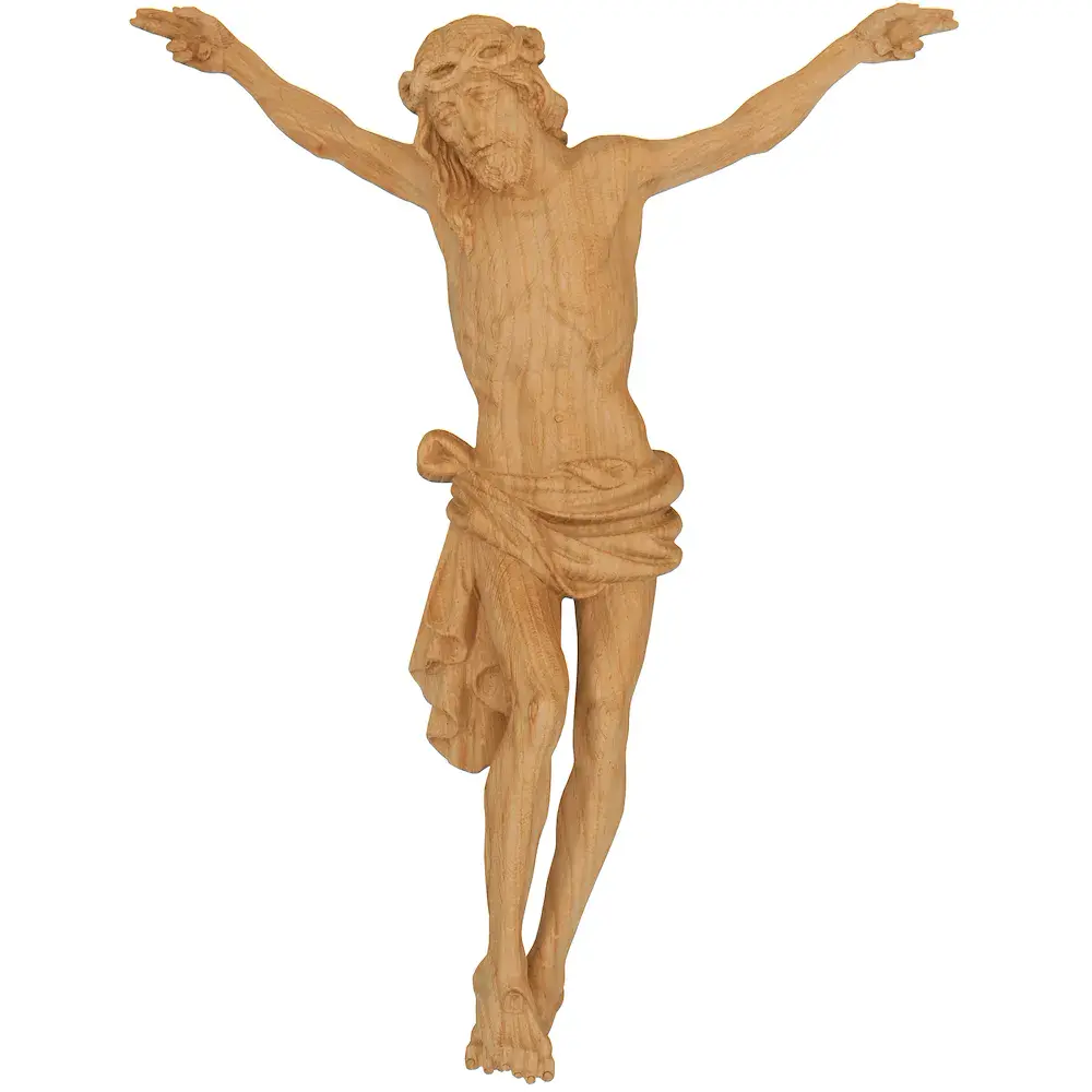 Corpus of the Dolomite in oak wood