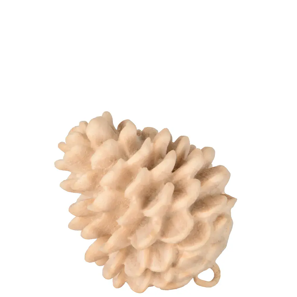 Mountain pine