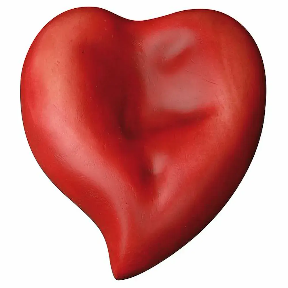 Heart
